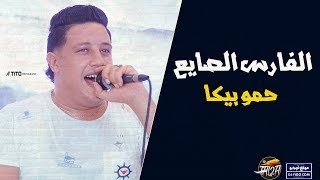 Hamo bika - مهرجان الفارس الصايع حمو بيكا - ميسره - مودي امين - علي قدورة - توزيع فيجو الدخلاوي 201