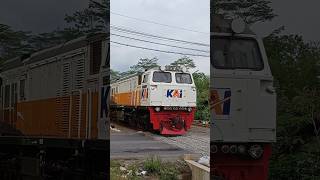 Detik detik kereta api pengangkut semen melewati trek lurus berkecepatan 100km/jam #keretaapi #train