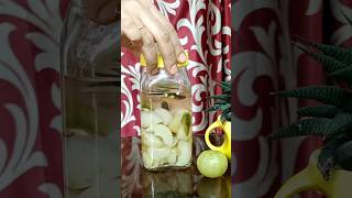 Salted Amla Pickle Recipe | #shorts #picklerecipe