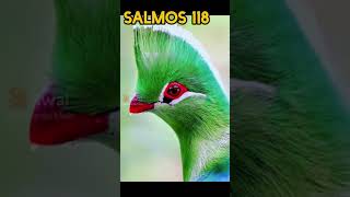 Salmos 118