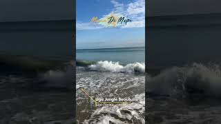 Купити тур до Uga Jungle Beach #shortvideo #travel #мамадеморе #destination #trend #shorts #short