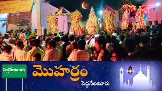 పెద్దనేలటూరు మొహరం moharam pedda nelatur  17-07-2024