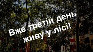 Вже третій день живу у лісі!