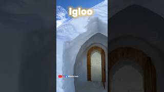 Why Igloo house are hot 🔥 #shorts #igloo