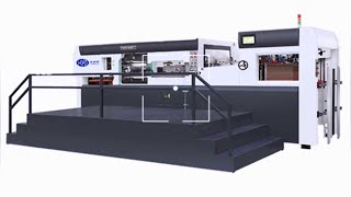 Feeder automatic die cutting machine with stripping