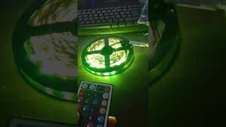 BERLONG 60W 300 x SMD 5050 / 5M RGB LED Light Strip - RGB COLOR