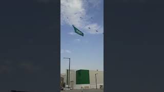 MashaAllah Saudi celebrate Saudi 🇸🇦 National Day Subscribe My Channel MS TUBE ONE