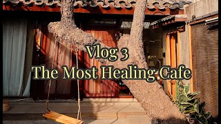 【Vlog 3】The Most Healing Cafe