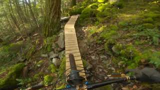 The Best Trails on South Vancouver Island