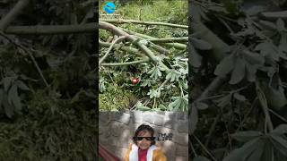 Brave Kid Mind voice while Trekking #viral #shorts #funny #comedytamil #comedy #thuglife