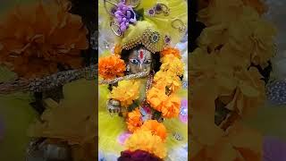 laddu Gopal Murali bajate hue viral #shots# video