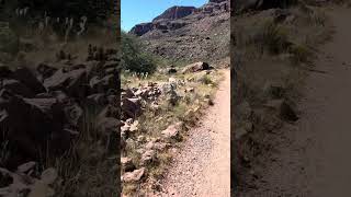 North Kaibab Trail - Hiker Observations