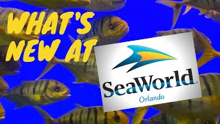 🇺🇸What's NEW at Sea World Orlando  - MARCH 2021