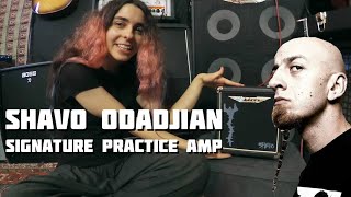 Shavo Odadjian Signature Practice Amp - AWESOME