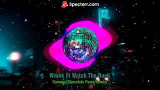 Wiwek & Watch The Duck - Curious (Chocolate Puma Remix) House music / remix /club house / music 2022