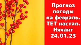 Погода в Нячанге 24 января 2023 | Самый лучший городской отель Нячанга | Отдых во время ТЕТа