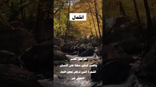 الكمال هوه طفل للصبر #islam #shorts #subscribe