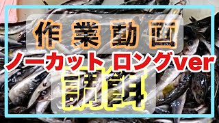 《鳥羽水族館》作業動画 生きものたちのご飯作り ロングver