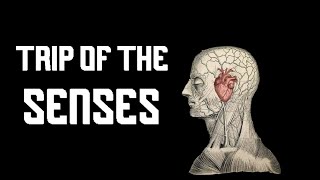 Trip of the SENSES