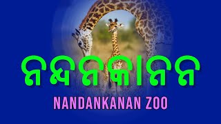 Nandankanan Wildlife Sanctuary Bhubaneswar: Perfect Day Trip from Bhubaneswar and Best Tourist Place