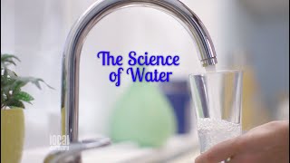 Local Discovery: Home Edition - The Science of Water