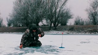 ЩУКА на ЖЕРЛИЦЫ. Сработка на камеру. В ожидании трофея. Рыбалка в Астрахани.