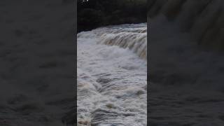 Huge step waterfall 😯😯🏞️#shorts #waterfall#nature