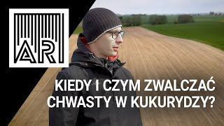 Kiedy i czym zwalczać chwasty w kukurydzy? || AR #144