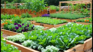 Vegetable garden design