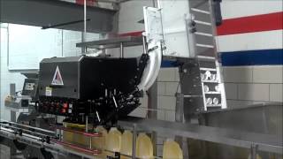 Cap Sorting Elevator with Chute | Capping Machine - APACKS