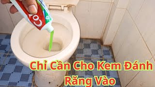 Bồn Cầu Có Mùi Hôi Chỉ Cần Cho Kem Đánh Răng Vào Hết Hôi Ngay Lập Tức. Mẹo Khử Mùi Bồn Cầu Cực hay