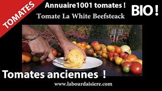 Tomate.10.Du Top Bio ! Fruits Insolites ! Tous au Jardin ! Nature Recette crue La White beef Steack