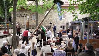 33 Maibaumaufstellen - Heimat- und Volkstrachtenverein Regensburg Stamm