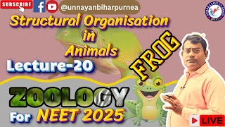 NEET | ZOOLOGY | STRUCTURAL ORGANISATION IN ANIMAL (FROG) | LEC-20 | 12.11.24