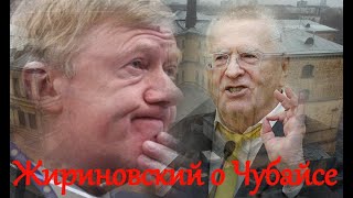 Жириновский о Чубайсе, про приватизацию и про пятую колонну.