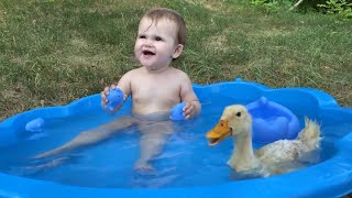 Cute Adorable Zlata Baby Reaction to Duckling in the Mini Pool [Cuteness overload]