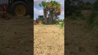 Tree Cutting satisfying Video #shorts #shortvideo #viral