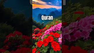 Quran❤️ | Surah Fatiha ❤️❣️#quran #recitation #shorts