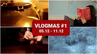 VLOGMAS #1 - Ostatni dom na zapomnianej ulicy, BoJack Horseman i duuużo śniegu