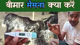 बकरी का बच्चा बीमार हो जाये तो क्या करें |Bimar Bari Ke Bacche Ka elaj Vimalumrao