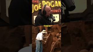 Joe Rogan - Ants Are Building Massive Architecture