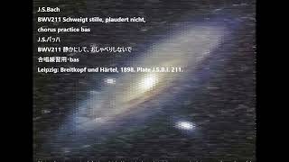 J.S.Bach BWV211 Schweigt stille, plaudert nicht, chorus practice bas J.S.バッハ BWV211 静かにして  合唱練習用・bas