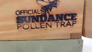 How does the Sundance pollen trap work?