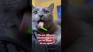 The real difference between dog people and cat people ❤️Do you agree? #love #funny #animals