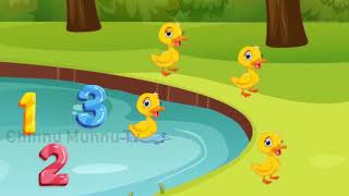 Five Little Ducks|ஐந்து சின்ன வாத்துக்கள் நீந்த சென்றன|ChinnuMunnuTv தமிழ் Tamil Rhymes For Children