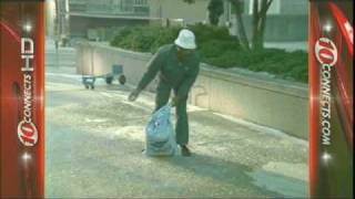 SNOW IN TAMPA - Jan. 19, 1977