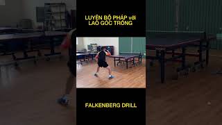 Falkenberg 🏓 #shorts  #pingpong  #tabletennis #bongban #phivubb