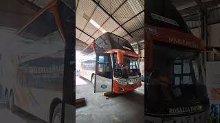 rosalia indah double decker 102 #rosaliaindah #doubledecker