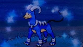 [Safari Week] LIVE! Shiny Houndoom in the Safari Zone after 3,228 REs! W/F? (Heart Gold)