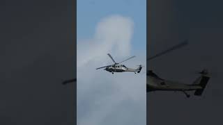 Rare MH60s Seahawk doing a fly over at EGPH | 21/10/24 #militaryaviation #navy #aviation #edinburgh